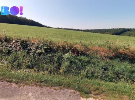 Prodej pozemku, zemědělská půda, 43 866 m²