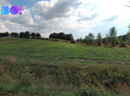 Prodej pozemku, zemědělská půda, 5 908 m²