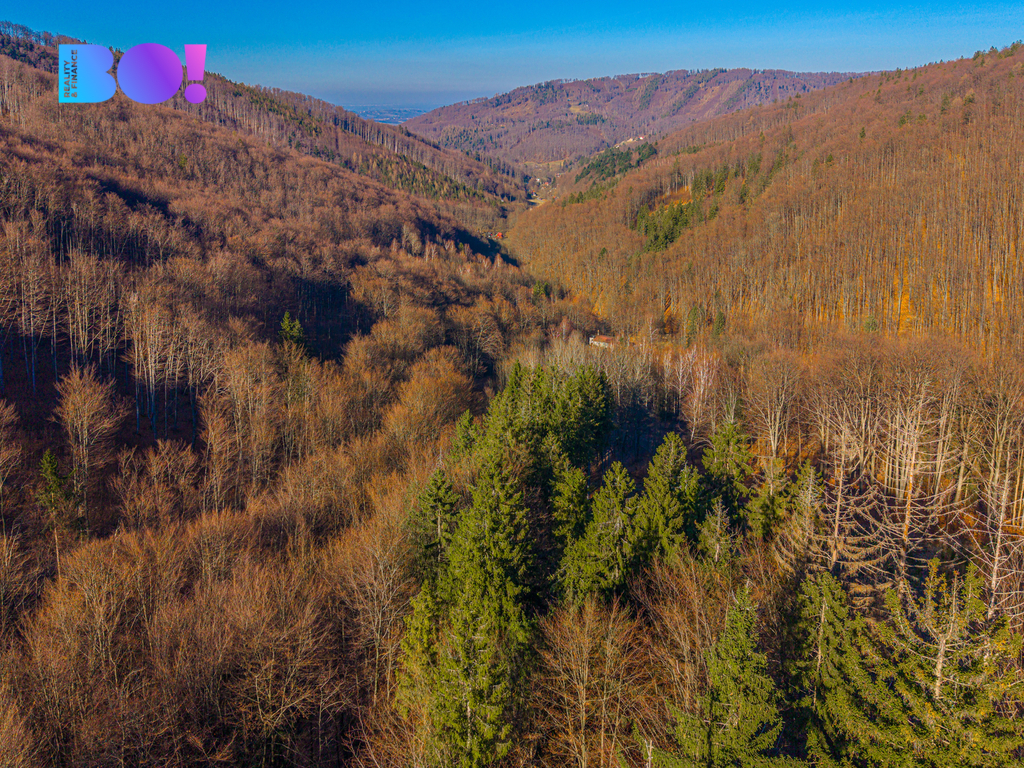 dji-0055.jpg
