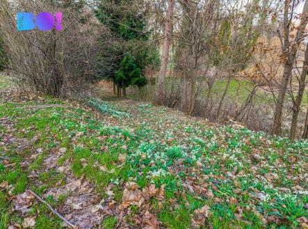 Prodej pozemku pro bydlení, 970 m²