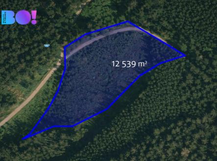 Prodej pozemku, les, 58 310 m²