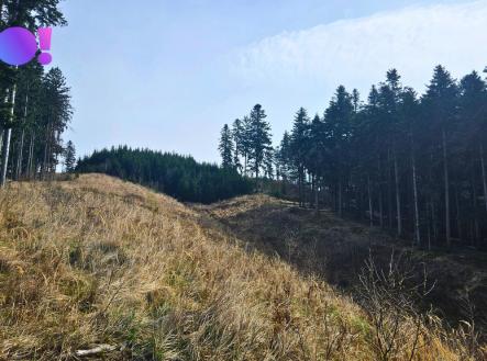 Prodej pozemku, les, 58 310 m²