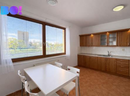 Pronájem bytu, 1+1, 49 m²