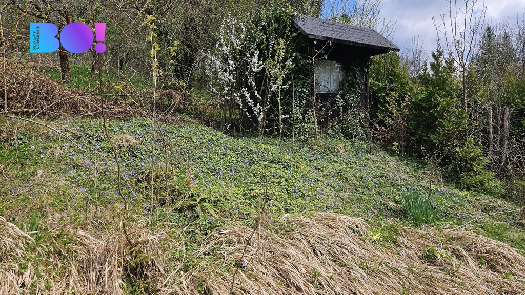 20260417-131647-0.jpg