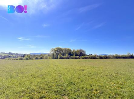 Prodej pozemku, trvalý travní porost, 12 833 m²