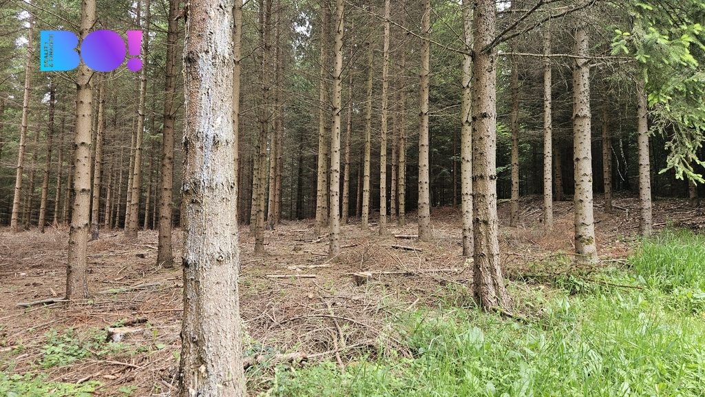 20260618-102815.jpg
