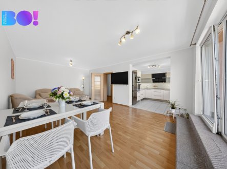 Prodej nadstandartního bytu 3+kk, 199 m², ul. Svojsíkova, Český Těšín