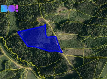 Prodej pozemku, les, 27 568 m²