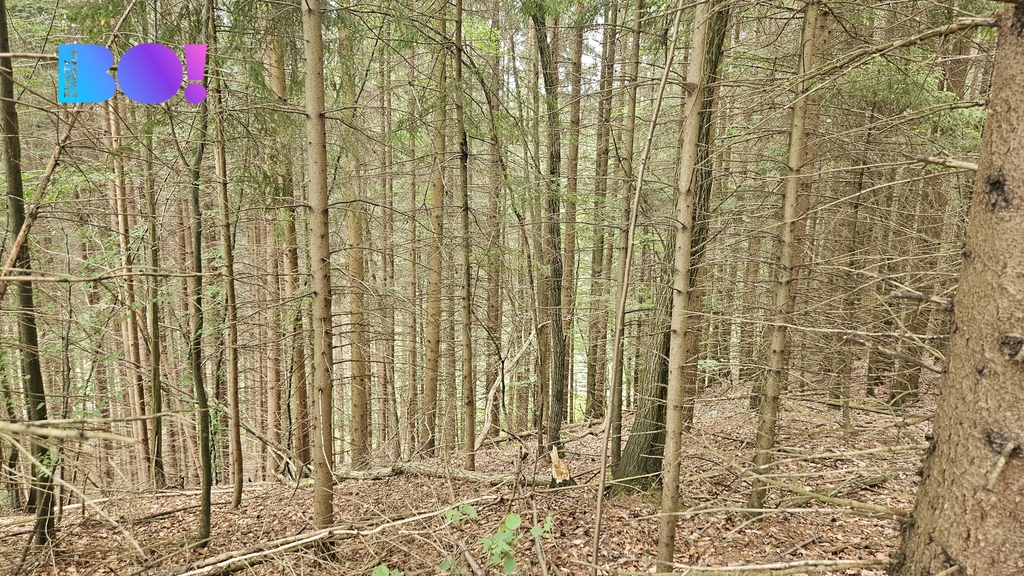 20260618-111746.jpg