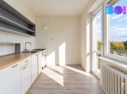 Prodej bytu, 2+1, 50 m²
