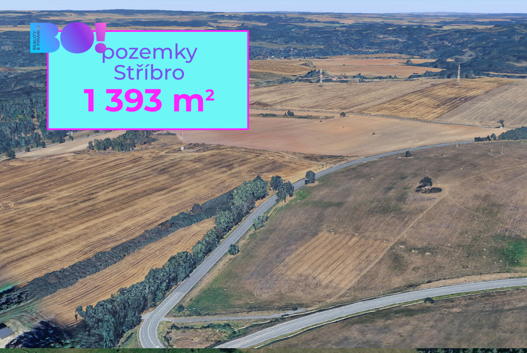 9049-stribro-1.jpg