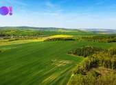 Prodej pozemku, zemědělská půda, 1 098 m²