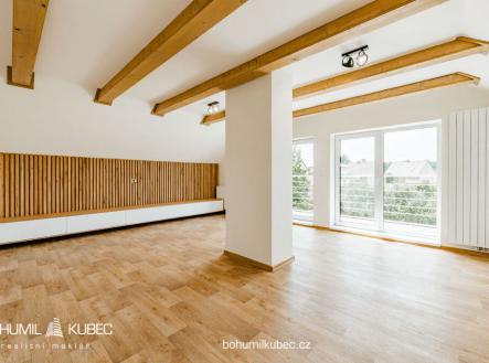 Prodej - dům/vila, 390 m²