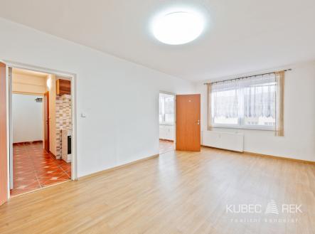 Pronájem bytu, 1+1, 43 m²