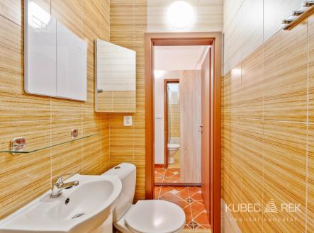 Pronájem bytu, 1+1, 43 m²