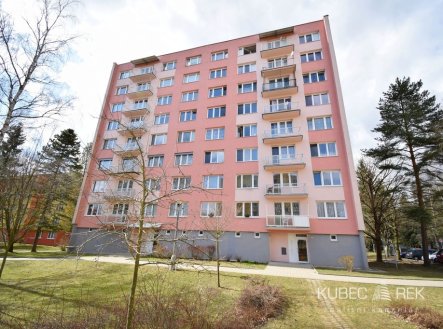 Pronájem bytu 3+1, 63 m2, Buzulucká 2333