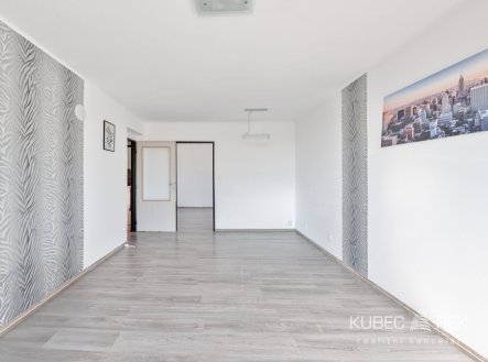 Prodej bytu, 2+1, 49 m², Tábor – náhled fotky 4