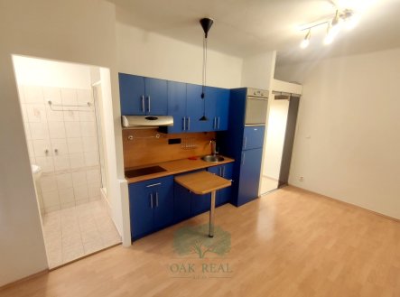 Pronájem bytu, 1+kk, 20 m²