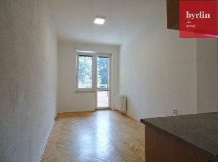 Pronájem bytu, 1+kk, 15 m²