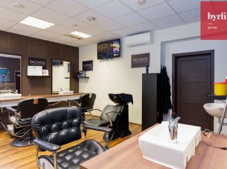 Prodej - nájemní dům, 489 m²