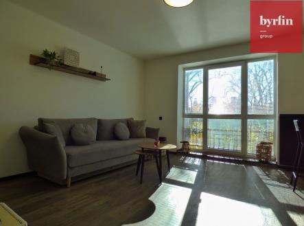 Pronájem bytu, 2+1, 55 m²