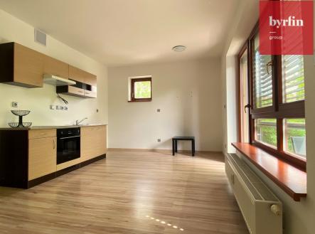 Pronájem bytu, 1+kk, 36 m²