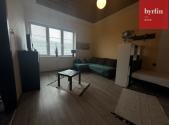 Pronájem bytu, 1+1, 45 m²
