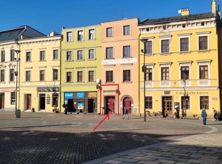 Pronájem obchodní prostor, 194 m²