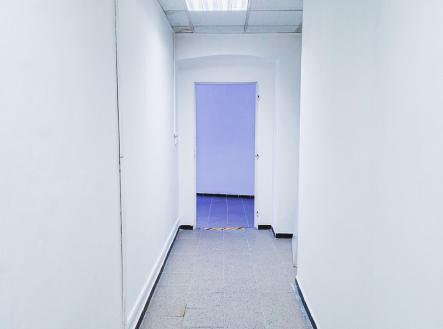 Pronájem obchodní prostor, 53 m²