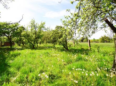 Prodej pozemku pro bydlení, 2 033 m²
