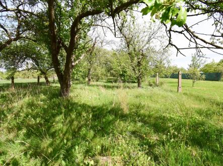 Prodej pozemku pro bydlení, 2 033 m²