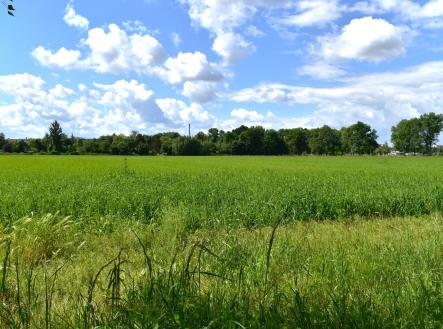 Prodej - pozemek, zemědělská půda, 36 521 m²