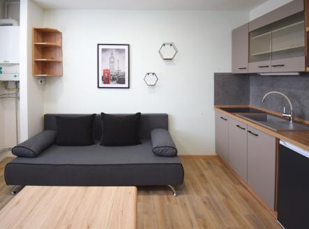 Pronájem bytu, 1+kk, 20 m² obrázek