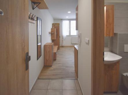 Pronájem bytu, 1+kk, 20 m²