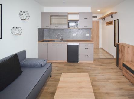 Pronájem bytu, 1+kk, 20 m²