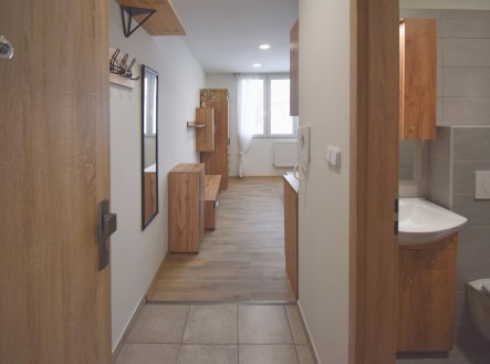 Pronájem bytu, 1+kk, 20 m²
