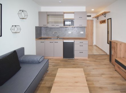 Pronájem bytu, 1+kk, 20 m²