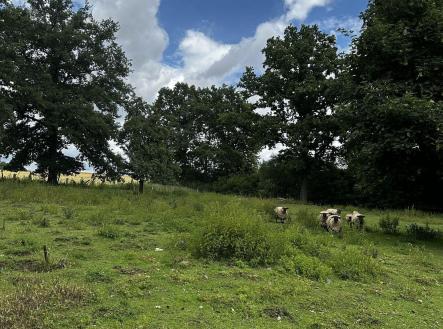 Prodej pozemku pro bydlení, 3 589 m²