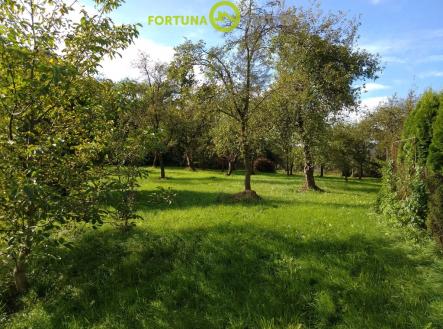 Prodej - pozemek pro bydlení, 3 041 m²