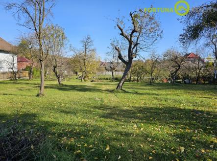 Prodej pozemku pro bydlení, 3 068 m²