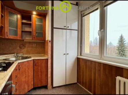 Pronájem bytu, 2+1, 55 m²