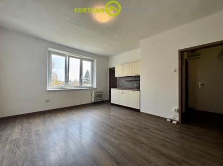 Prodej bytu, 1+kk, 39 m²
