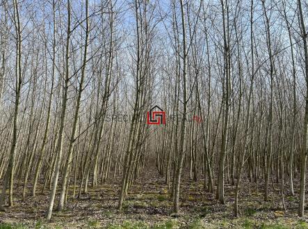 Prodej pozemku, zemědělská půda, 59 227 m²