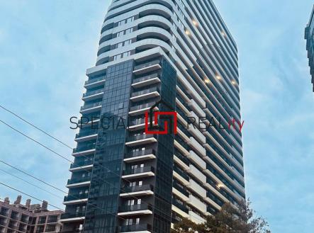 Orchid Casel de Paradise.