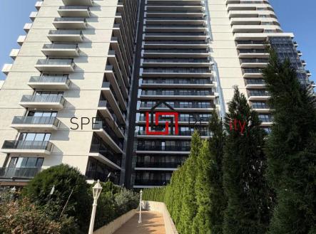 PHOTO-2025-11-30-15-18-15 71.jpg