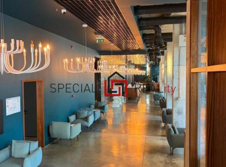 PHOTO-2025-11-30-15-18-15 75.jpg