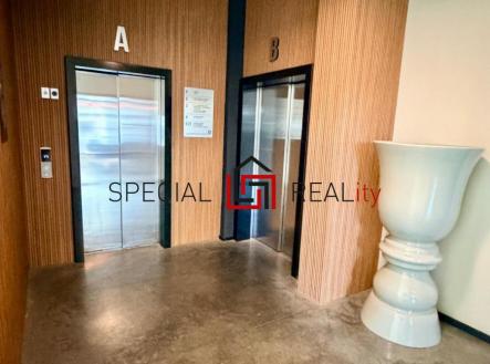 PHOTO-2025-11-30-15-18-15 77.jpg