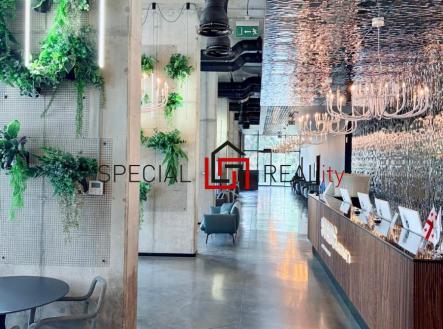 PHOTO-2025-11-30-15-18-15 85.jpg