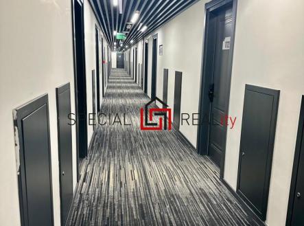 PHOTO-2025-11-30-15-18-15 21.jpg