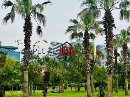 PHOTO-2025-11-30-15-18-15 47.jpg